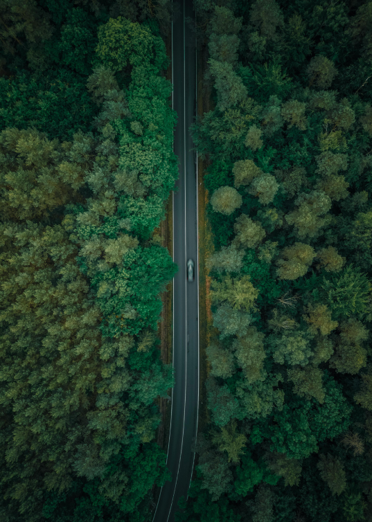 Aerial view of a road through a dense green forest, symbolizing sustainable growth and strategic direction