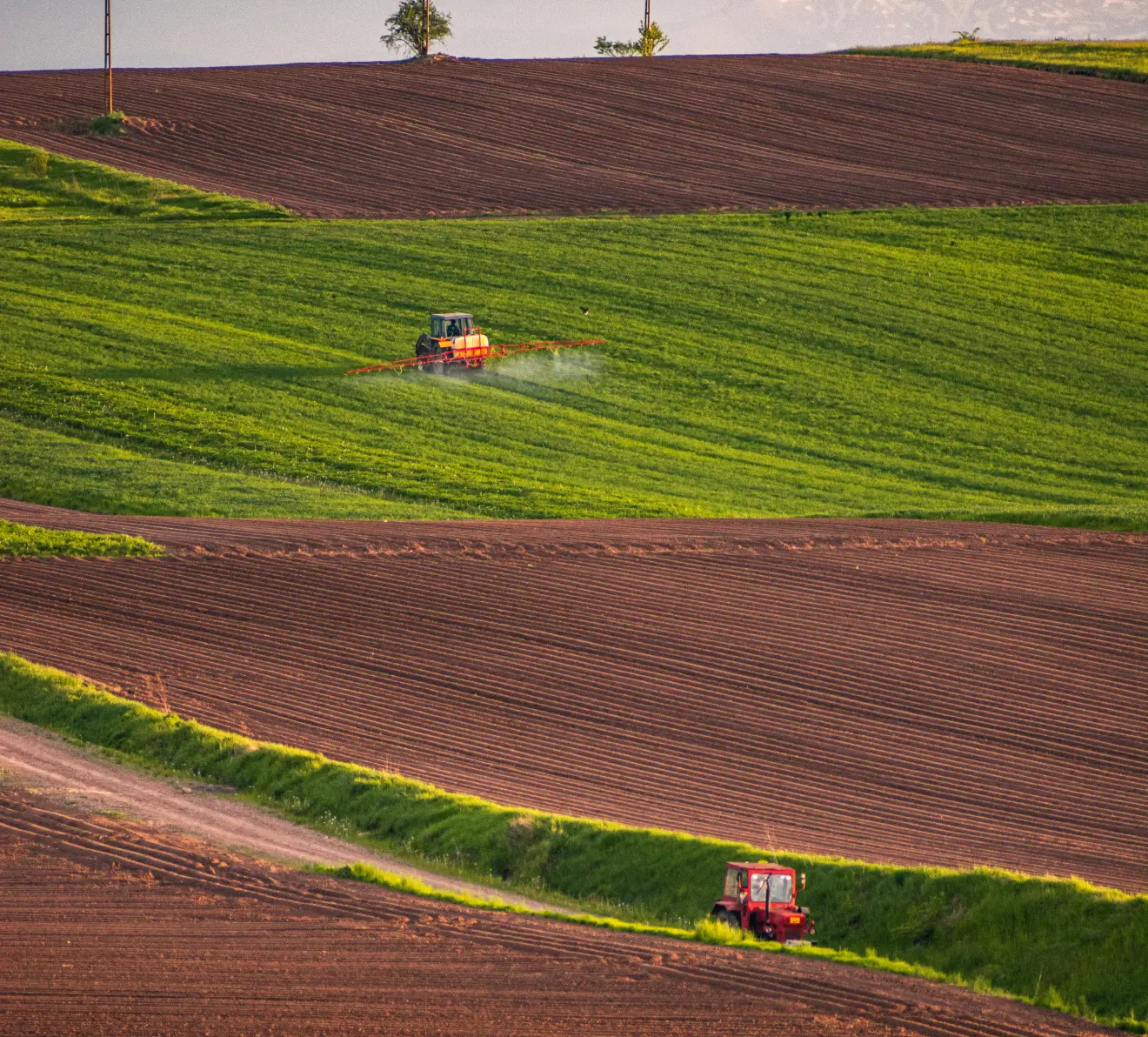 alt: Agriculture and agribusiness operations with crop production and food supply chain management