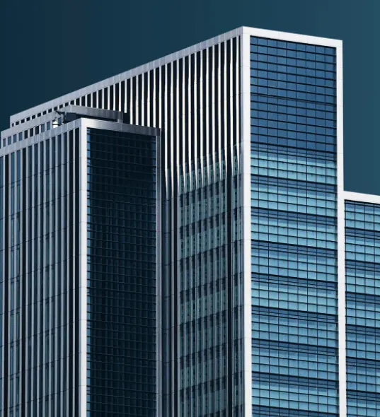 alt: Business advisory overview focused on sector-specific financial, operational and regulatory challenges